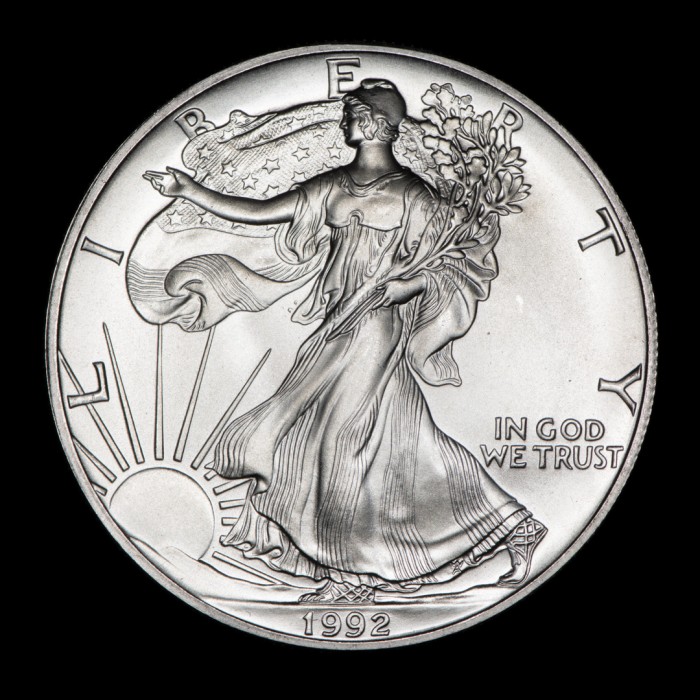 Estados Unidos 1 Dollar de Plata 1992 KM273 1 Onza Ag UNC
