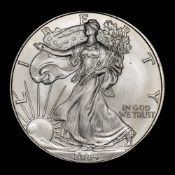 Estados Unidos 1 Dolar 2004 American Silver Eagle KM273 Onza de Plata UNC