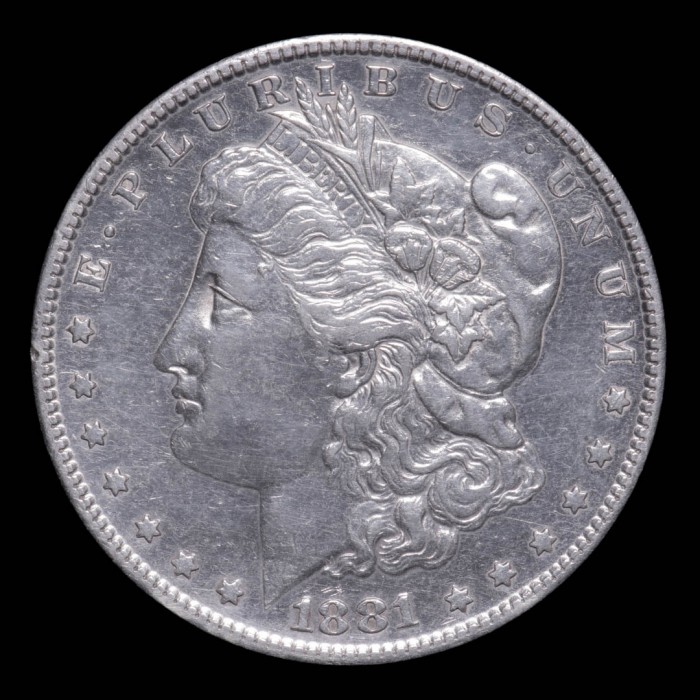 Estados Unidos Dolar Morgan 1881S KM110 Ag EXC-