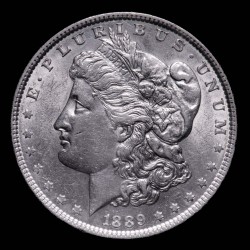 Estados Unidos Dolar Morgan 1889 KM110 Ag UNC