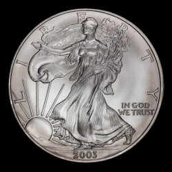 Estados Unidos 1 Dolar 2007 American Silver Eagle KM273 Onza de Plata EXC+