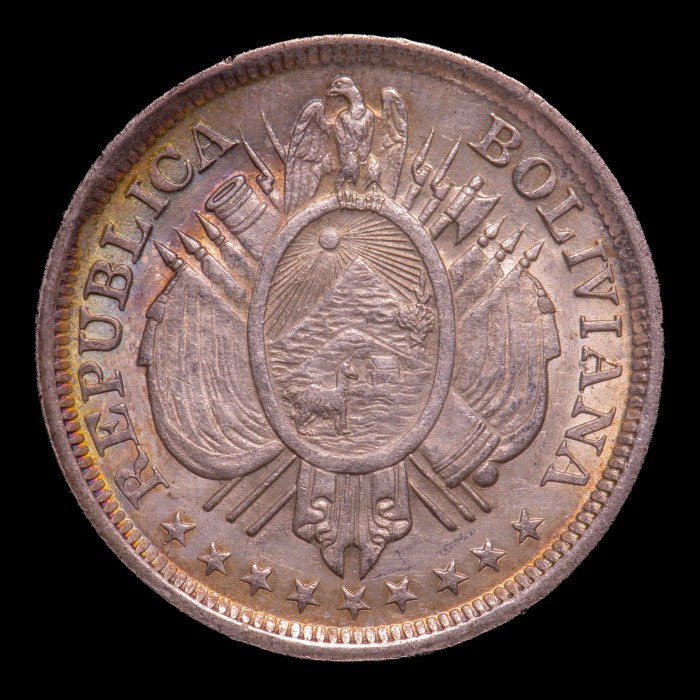 Bolivia 50 Centavos 1899 MM KM161.5 Ag UNC