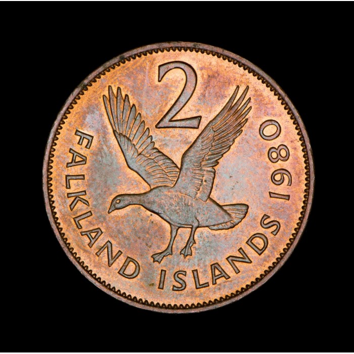 Islas Malvinas 2 Pence 1980 KM3 Bronce EXC+