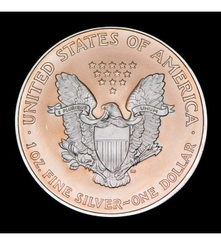 Estados Unidos 1 Dollar de Plata 2007 Tonalizado KM273 1 Onza Ag UNC